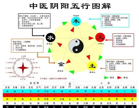 保險業五行|【保險行業 五行】保險業，你懂它的五行屬性嗎？解開行業與五。